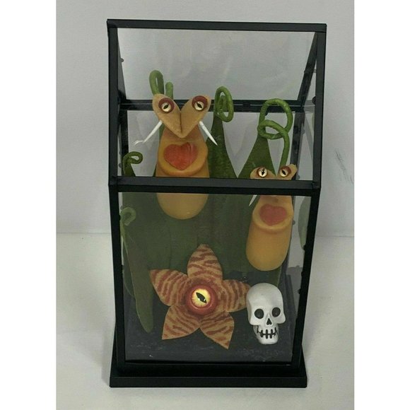 s-l1200.jpg Hyde & Eek Boutique Yellow Creepy Face Halloween Faux Plants Terrarium TARGET